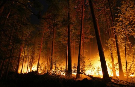 Ученые раскрыли связь между глобальным потеплением и пожарами в Сибири