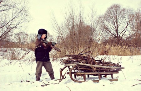 В России официально разрешили сбор валежника